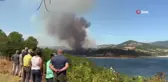 Bayramiç'te orman yangını