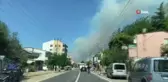 Bayramiç'te orman yangını