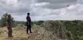Yaralı Kızıl Şahin Tedavi Edildikten Sonra Doğaya Salındı