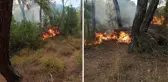 Muğla'da bir günde 11 yıldırım yangını çıktı