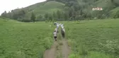 CHP Trabzon İl ve Of İlçe Örgütleri ÇAYKUR'u protesto etti
