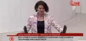 Dem Partili Sayyiğit: 