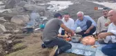 Sıcaktan bunalanlar Süphan Dağı eteklerindeki kar üzerinde piknik yaptı
