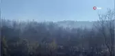 Ayvacık'taki orman yangını kontrol altına alınıyor