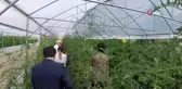 Mudurnu'da istihdam için 'Hünerli Eller Projesi'