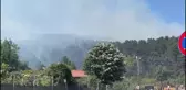 İstanbul Pendik'te Aydos Ormanı'nda Yangın Çıktı