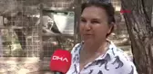 Antalya Doğal Yaşam Parkı'nda Rakun Patlaması: 15 Yavru Dünyaya Geldi