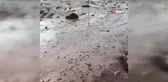 Başkale'de kuvvetli sağanak ve dolu yağışı sonrası sel meydana geldi