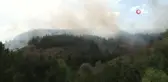 Kastamonu'daki orman yangınına müdahale sürüyor