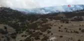 Afyonkarahisar'da ot ve çalıların bulunduğu dağlık alanda yangın çıktı