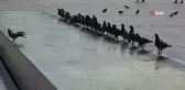 Taksim'de Sıcak Havada Zor Anlar
