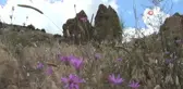 Peri Bacaları Turizme Kazandırılmayı Bekliyor