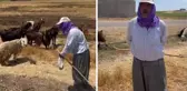 71 yaşında her gün koyunlarıyla kilometrelerce yol yapıyor! Tek derdi hala teslim edilmeyen evi