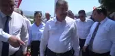 Osmaniye'de domates ve biber hasadı