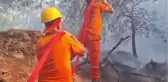 Antalya Serik'te çıkan orman yangını kontrol altına alındı