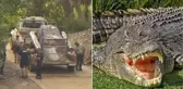 Avustralya'da balık tutan adam, ailesinin gözü önünde timsah tarafından öldürüldü