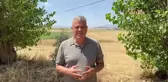 CHP Milletvekili Ayhan Barut, Ayçiçeği İthalatına Tepki Gösterdi