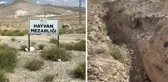 Niğde'de köpeklerin topluca gömüldüğü iddia edildi, işin aslı bambaşka çıktı