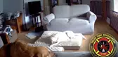 Köpeğin Bataryayla Oynarken Çıkardığı Yangın Anları Görüntülendi