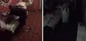 Geceleri babaannesinin odasından garip sesler geliyordu! Kamera yerleştirdi, gördüklerine inanamadı
