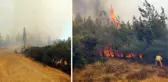 Çanakkale'de orman yangını! Şehitlik ve Conkbayırı ziyarete kapatıldı