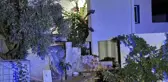 Bodrum'da silahlı saldırı: İki kişi ölü bulundu