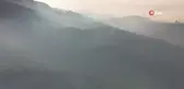 Gördes'teki 2 orman yangını devam ediyor