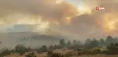 Çankırı'daki orman yangınına havadan ve karadan müdahale sürüyor