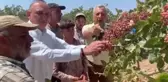 CHP Gaziantep Milletvekilleri Antep Fıstığı Üreticilerini Desteklemek İçin Miting Düzenliyor