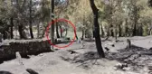 Küle dönen köyde alevler bir tek ona dokunmadı