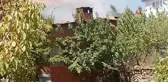 Depoda başlayan yangın eve ulaşamadan söndürüldü