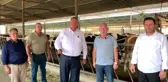 CHP Milletvekili Gürer: Süt politikaları hayvan varlığında kayıplara neden oluyor