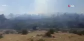 Afyonkarahisar'da ikinci orman yangını