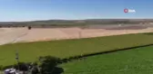 Evlerin yakınına kadar gelen obruklar tedirgin ediyor