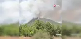 Menderes'te orman yangını