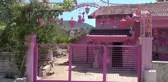 Ispartalı 75 yaşındaki Sakine teyzenin 'Pembe' hayatı