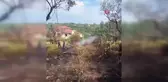 Yalova'da zeytinlik alanda yangın