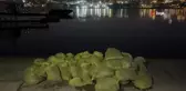 Yasak yolla 2 ton midye çıkardı: 26 bin TL cezai işlem uygulandı