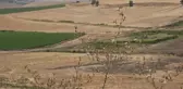 Tarım arazilerinin kiralanması kararına tepki