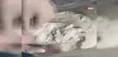 Ticaret Bakanlığı Gümrük Muhafaza Ekipleri Kaçakçılık Operasyonlarını Sürdürüyor