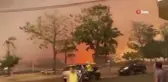 Brezilya'da orman yangınları: 2 ölü