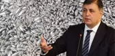 İzmir Büyükşehir Belediye Başkanı Cemil Tugay: Ölen balıklar buraya ait değil, gemilerle taşındı