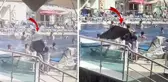 Havuz başında güneşlenen kadının kafasına baca kapağı düştü