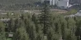 Mısır Cumhurbaşkanı Sisi, Türkiye'ye Resmi Ziyarette Bulundu