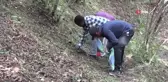 Giresun'da yerli işçi bulunamıyor: Afrikalı öğrenciler fındık bahçelerinde çalışmaya başladı