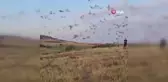 Isparta'ya bin adet çil keklik doğaya bırakıldı