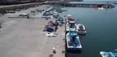 Zonguldak'ta Balıkçılar 4 Günde 100 Ton Palamut Avladı