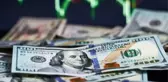 OVP verilerine göre; 4 yıllık dolar tahmini! 2025'te 42 lirayı görecek