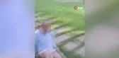 Sokak köpeğinin saldırdığı yaşlı adam bacağından yaralandı
