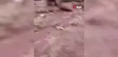 Sel köyü vurdu, birçok ev ağır hasar aldı